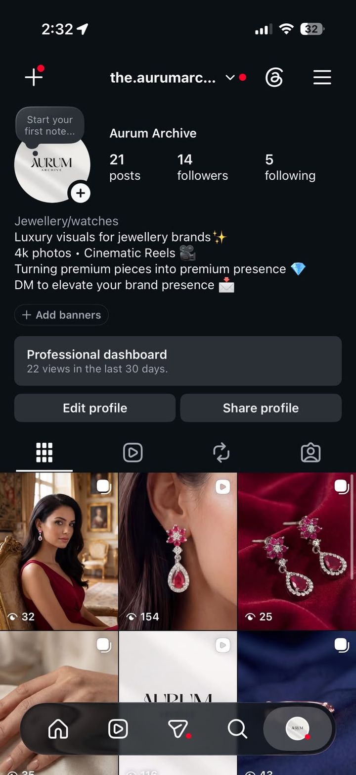 Instagram profile screenshot of @the.aurumarchive