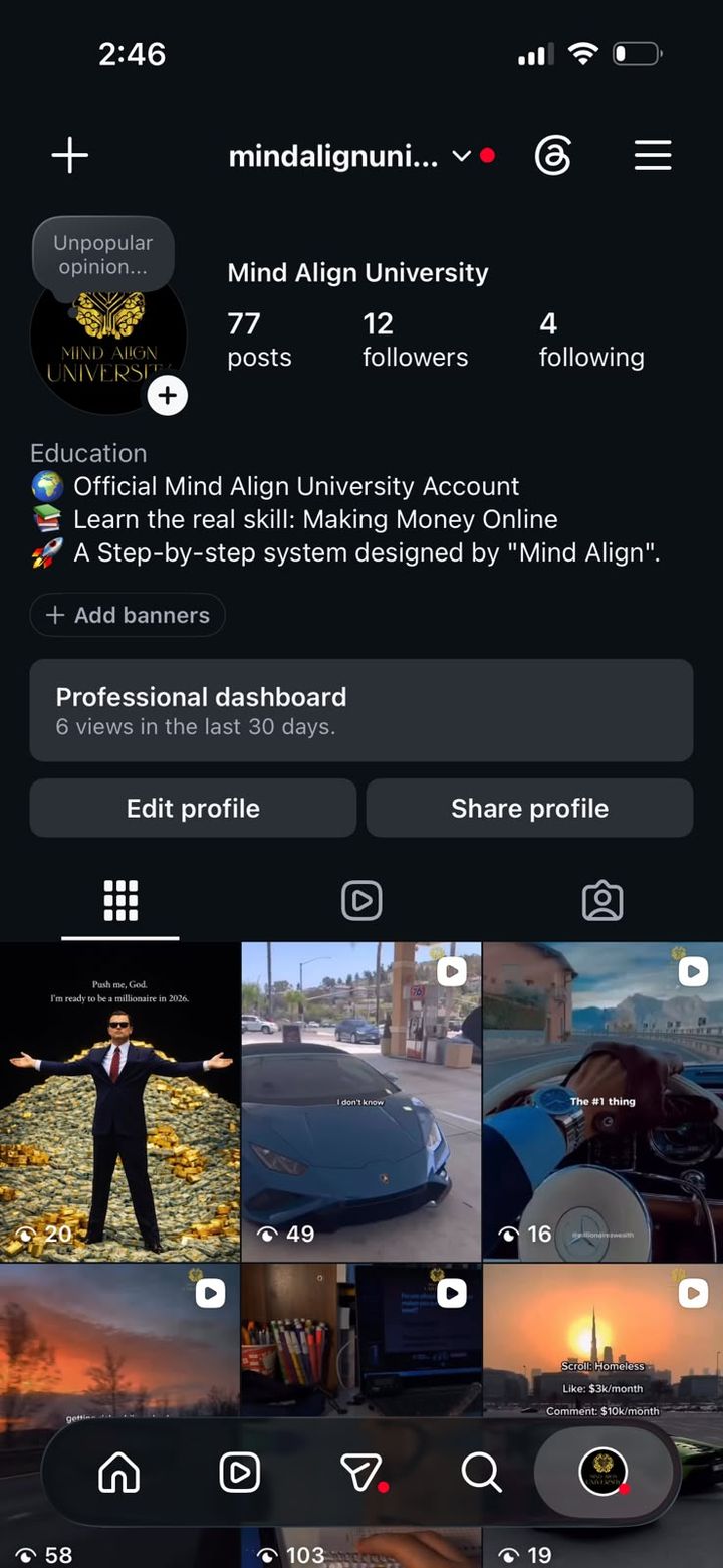 Instagram profile screenshot of @mindalignuniversity